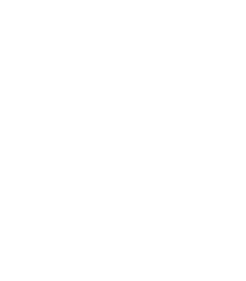 SAVVYCORE GLOBAL INC.